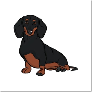 Black and Tan Dachshund Posters and Art